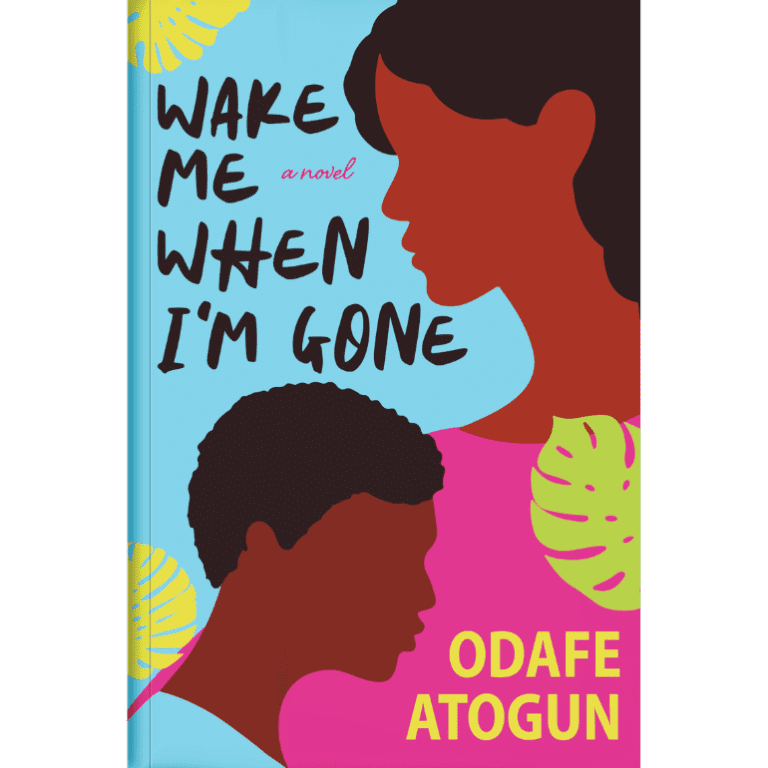 An image of the book cover of the book 'Wake Me When I'm Gone'