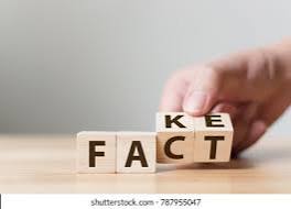 Fact fake blocks
