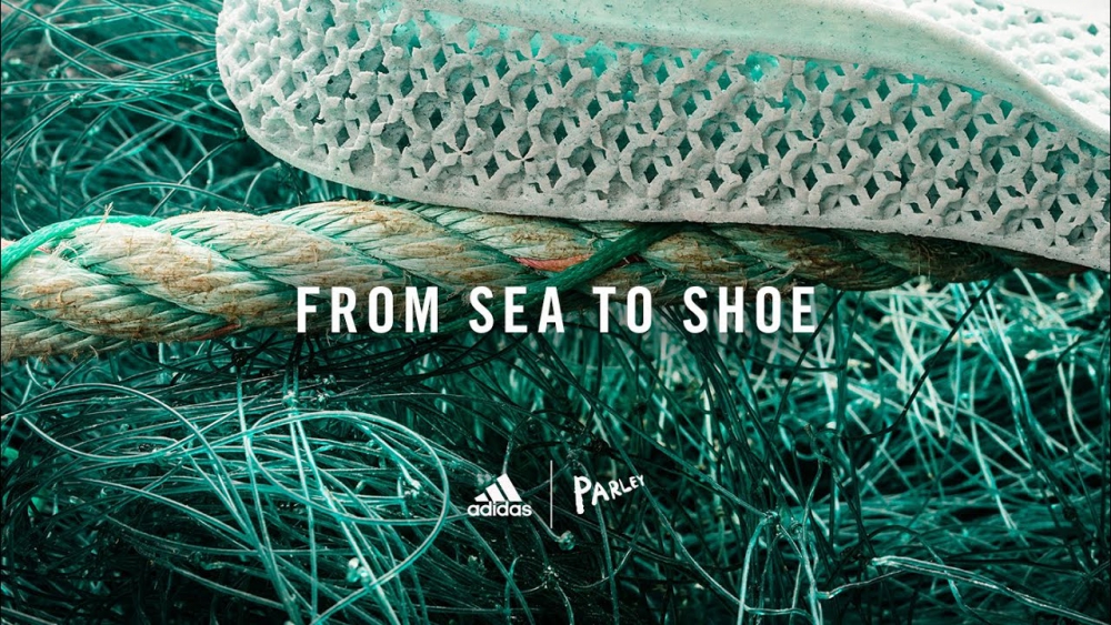 from sea to shoe image
