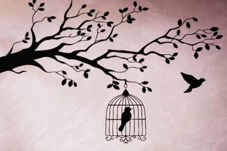 Caged bird and free bird
