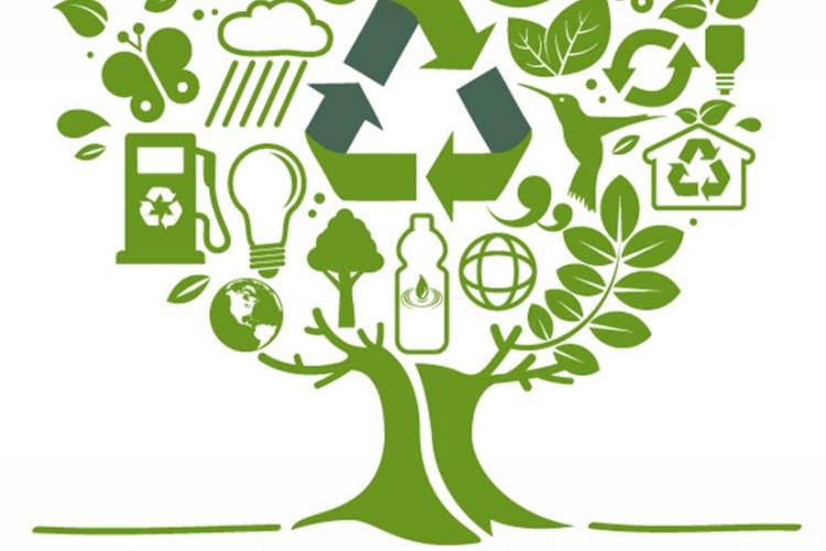 green tree representing eco friendliness