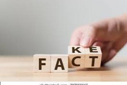 Fact fake blocks