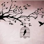 Caged bird and free bird